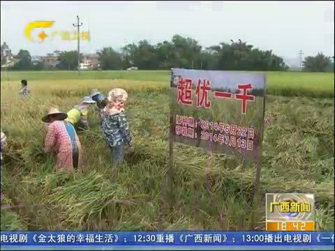 广西新闻 《广西新闻》 20141023