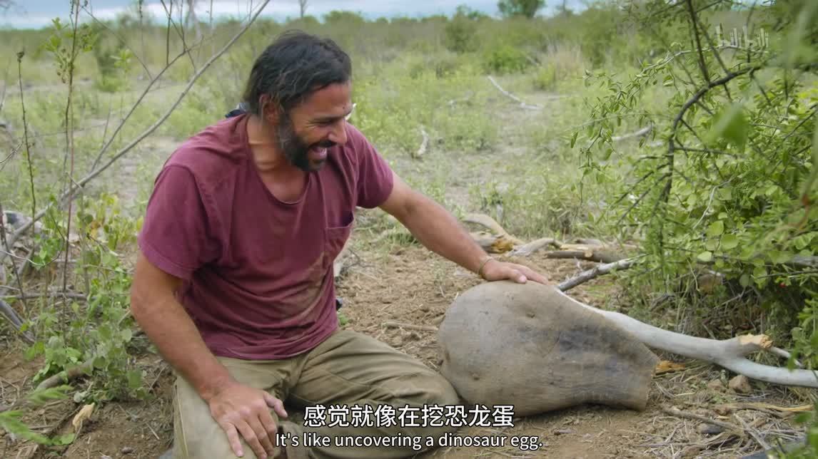 不畏艰难