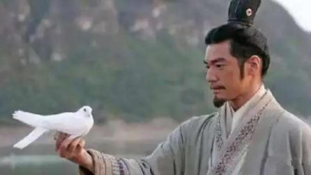 为什么古代的鸽子能帮人来回送信呢? 它们怎么知道送去哪的呢?