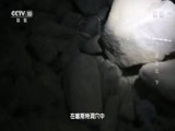 地理中国 《地理中国》 20170602 天坑密档·水碧凌云（下）