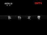 动物世界 《动物世界》 20111111