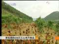 致富经 李佳朋的530万只土鸡不愁卖