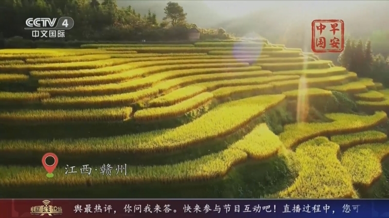 中国舆论场 《中国舆论场》 20231126