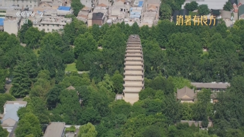 职场健康课 《职场健康课》 20250810 消暑有良方