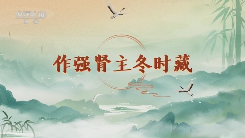 百家讲坛 《百家讲坛》 20260322 延年益寿话养生（第二部）8 作强肾主冬时藏