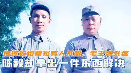 战史分析 华野指挥权给粟裕有人不服，毛主席头疼不已，陈毅拿出一东西解决