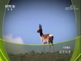 地理中国 《地理中国》 20180606 极险科考