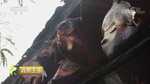 消费主张 《消费主张》 20190123 家乡的年味儿：四川阆中
