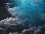 人与自然 《人与自然》 20120131 自然发现——与狮子同行（上）