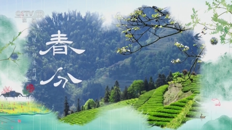 《健康之路》 20260320 节气养生圆桌宴·春分