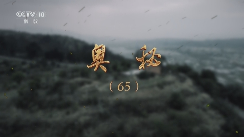 《探索·发现》 20251201 奥秘（65）