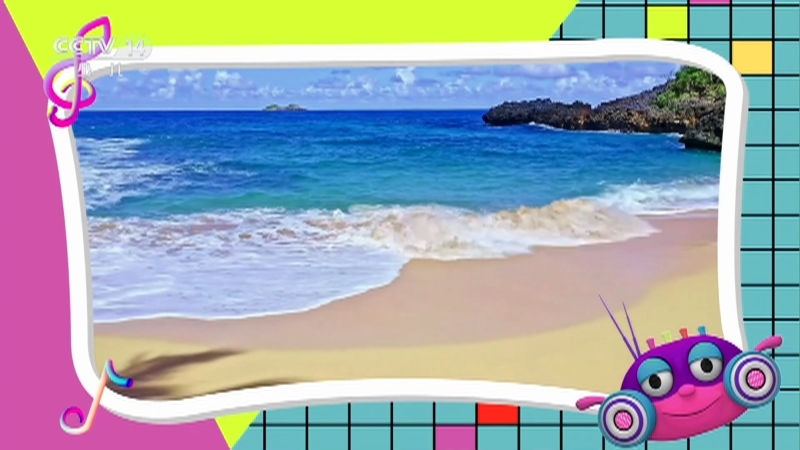 《小小智慧树》 20251218