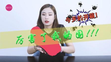 【WEN鞋评开箱】厉害了我的国! 这双李宁骚粉引疯抢! 还需加钱!