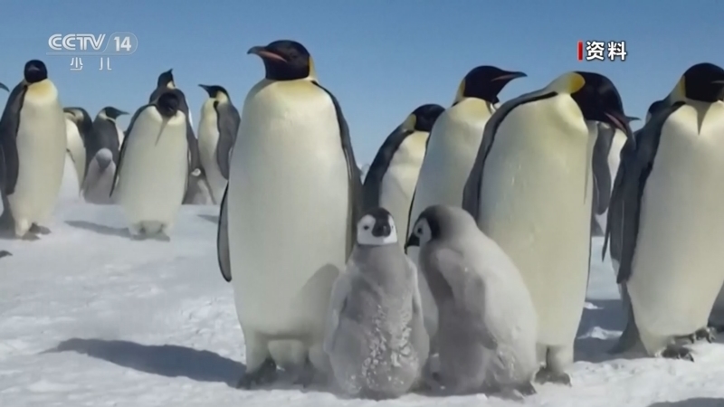 《新闻袋袋裤》 20260413