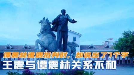 战史分析 王震与谭震林关系不和？谭震林遭遇批判时，却说出了7个字