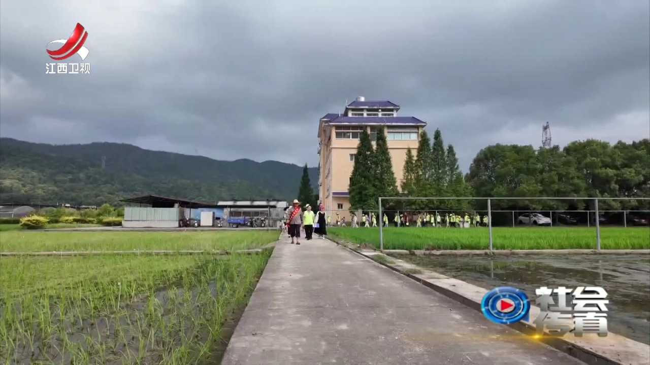 社会传真 江西研学路  成长新课堂