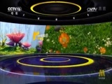 中国电影报道 《中国电影报道》 20170206