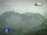 军事报道 《军事报道》 20150401