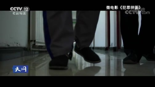 天网 《天网》 20190311 平安守护者·铁证如山
