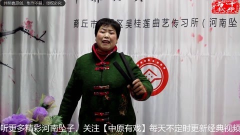 河南坠子《大明奇冤》