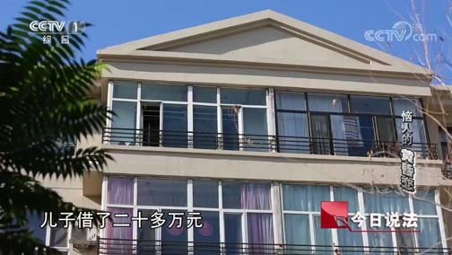 今日说法 《今日说法》 20190225 恼人的“黄昏恋”