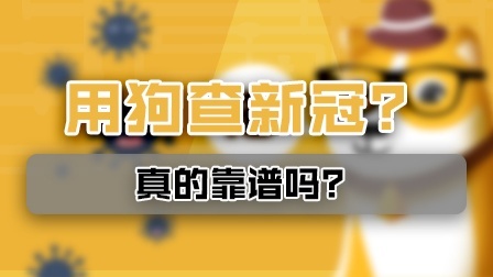 准确率85%以上？用狗查新冠病毒真的靠谱吗？