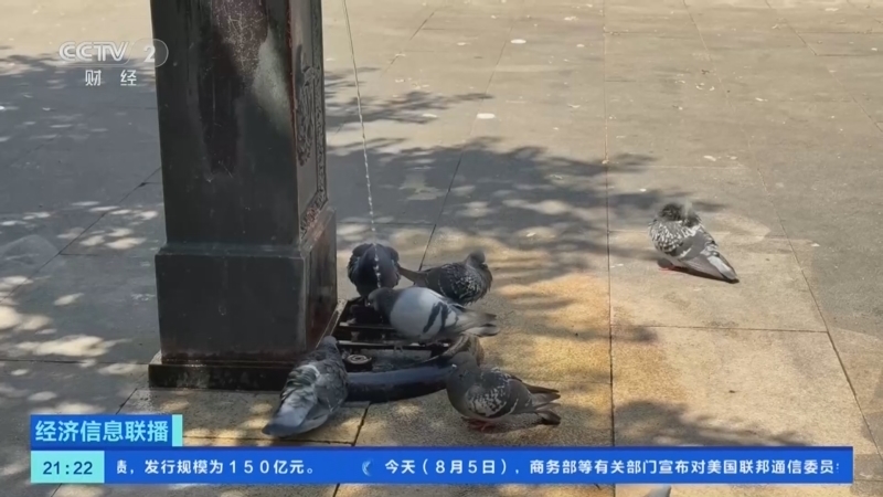 经济信息联播 《经济信息联播》 20260805