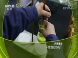 走近科学 《走近科学》 20171130 不冒烟的热电厂