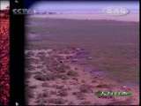 人与自然 原生故事--保卫家园 人与自然 20101104