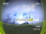 地理中国 《地理中国》 20160920 逆向迁徙