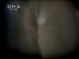 远方的家 远方的家 2011年 第4期