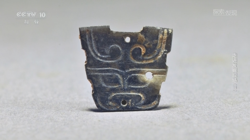 《探索·发现》 20260411 走进发掘现场（11）