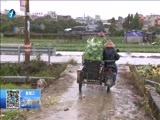 东南晚报 《东南晚报》 20160127
