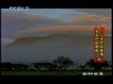 动物世界 动物世界 2010年 第176期