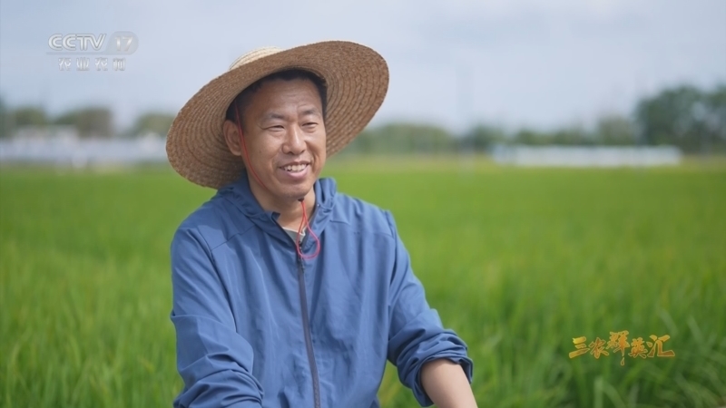 三农群英汇 《三农群英汇》 20260429 春耕寻稻记