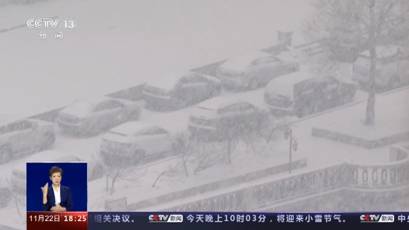 共同关注 《共同关注》 20231122