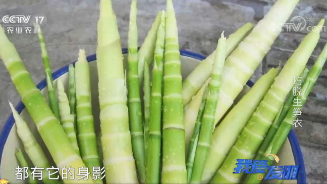 我爱发明 《我爱发明》 20200902 巧脱生笋衣