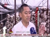 全省新闻联播 《全省新闻联播》 20150802