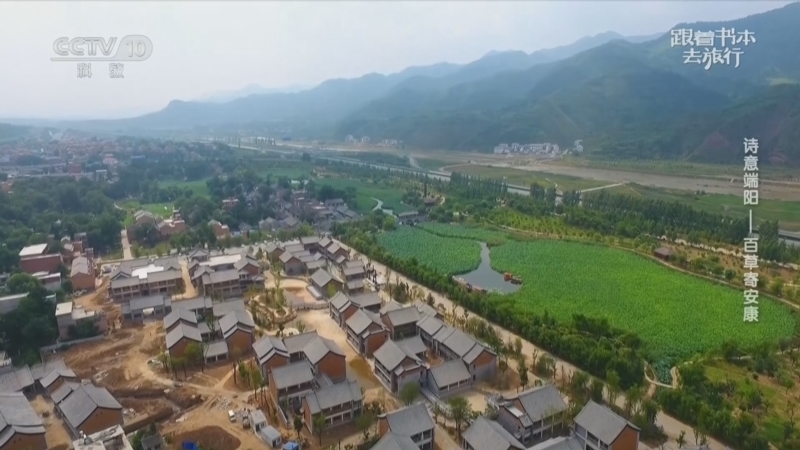跟着书本去旅行 《跟着书本去旅行》 20260618 诗意端阳——百草寄安康