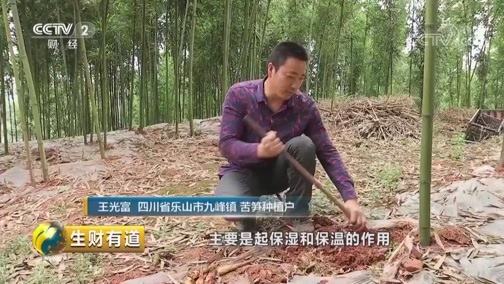 生财有道 《生财有道》 20190510 美味中国系列 感受匠心 寻味乐山