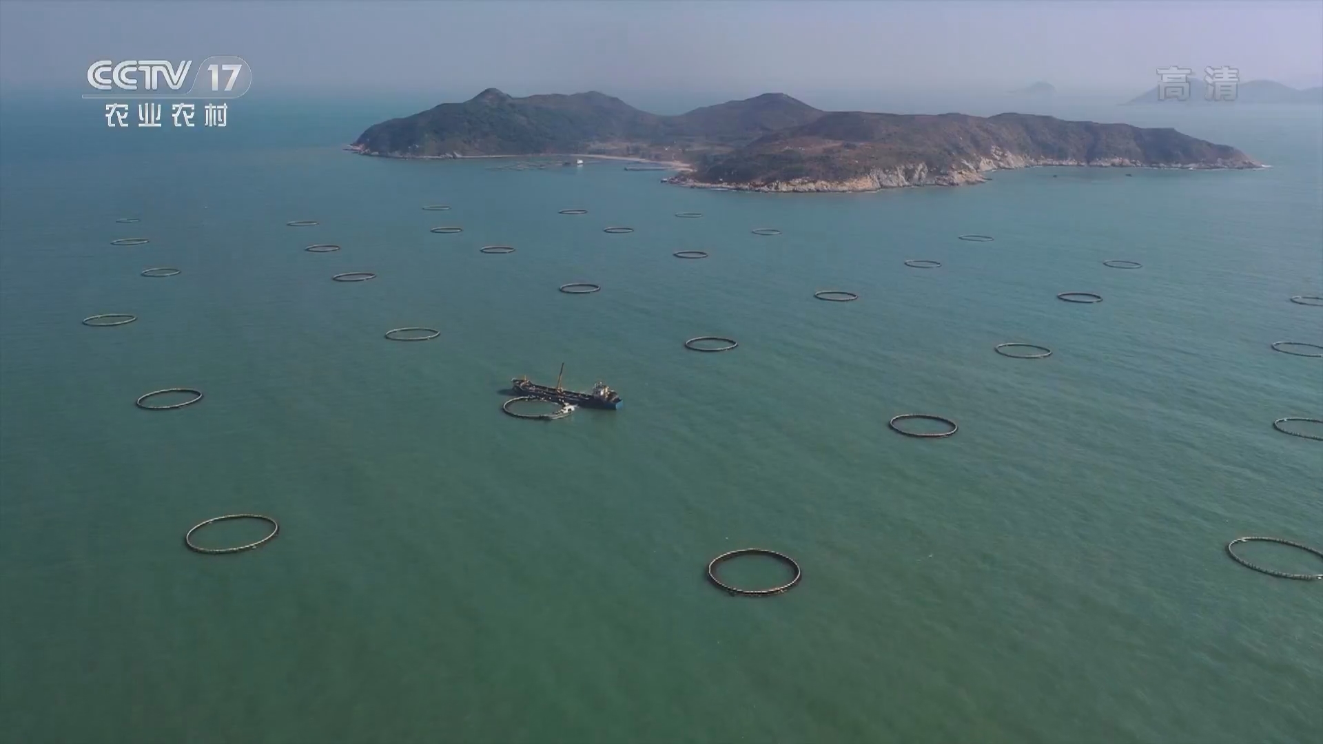 致富经 《致富经》 20220222 深海一条鱼 带富一方人