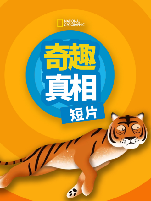 奇趣真相 短片 第一季