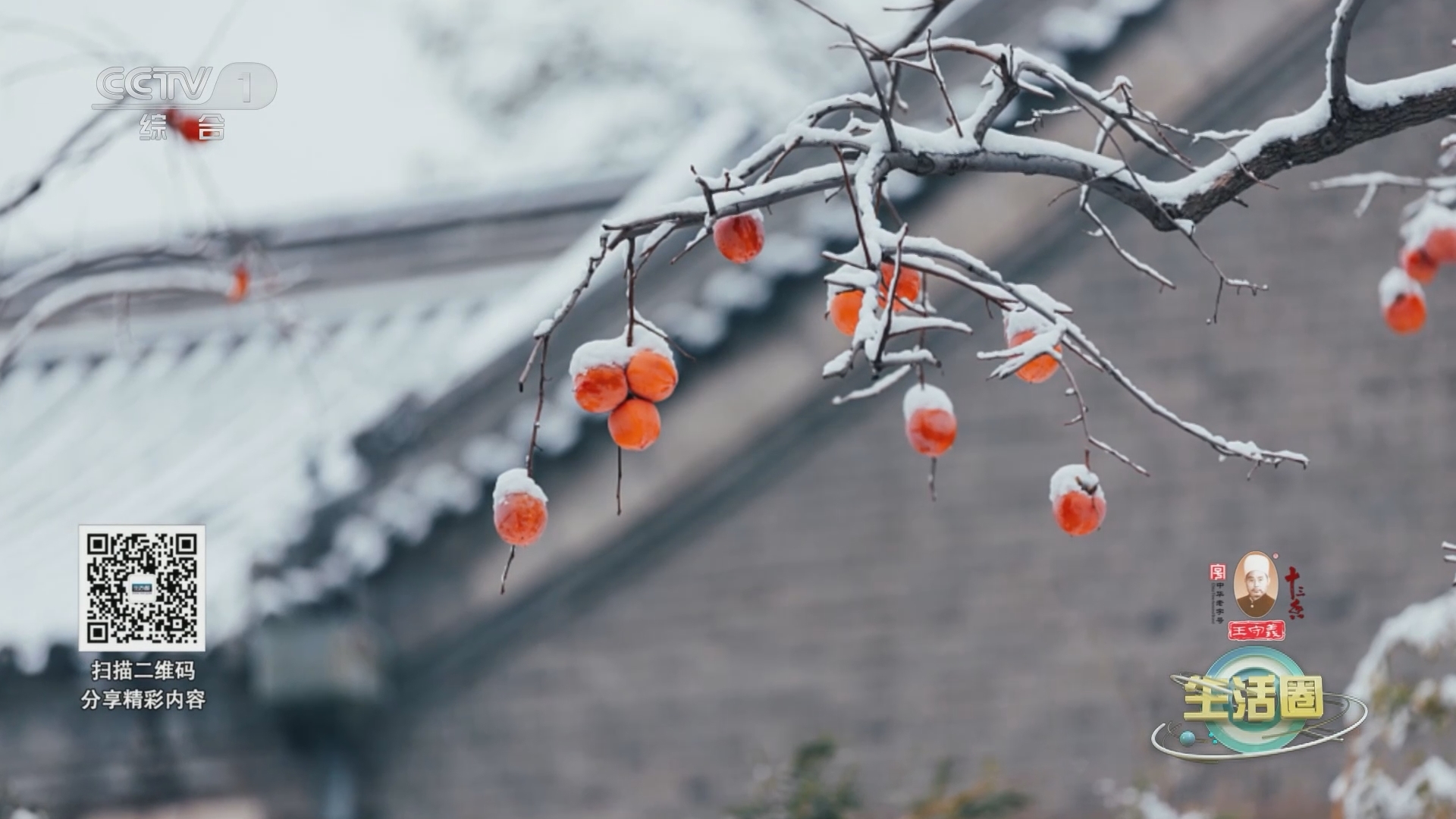 生活圈 《生活圈》 20240122