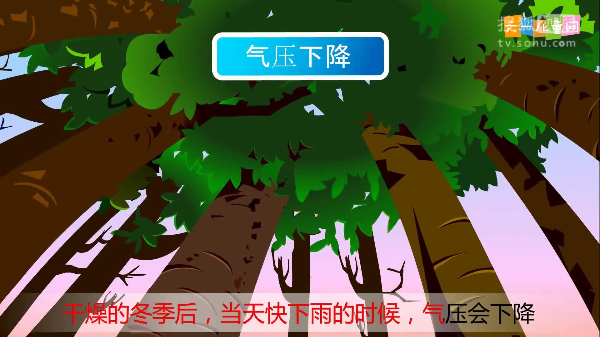 嘟拉十万个为什么 嘟拉十万个为什么没 219.为什么下雨时青蛙喜欢叫？