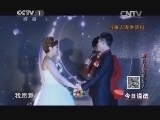 今日说法 《今日说法》20140421 婚礼上的陌生人