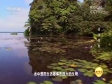 地理中国 《地理中国》 20180627 水下谜团·谜潭怪象