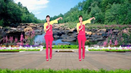 动感有趣广场舞《妹妹往哪走》32步附教学