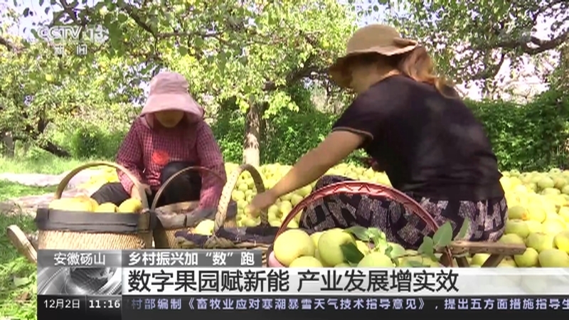 新闻直播间 《新闻直播间》 20221202 11:00