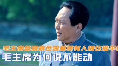 闻天下谈古今 毛主席参观袁世凯墓葬，有人提议推平掉，毛主席为何说不能动