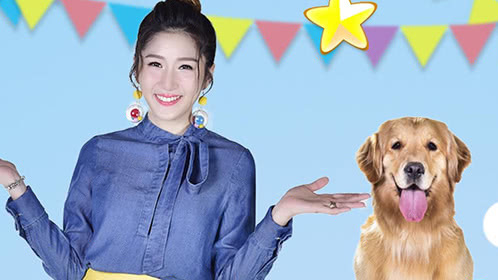 第9期：战斗吧萌犬终极踢馆赛打响